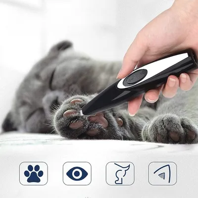 FurryFusion Tondeuse rechargeable pour pattes