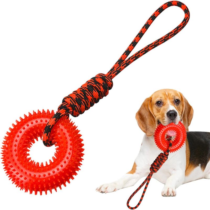 FurryFusion Quietschspielzeug für Hunde