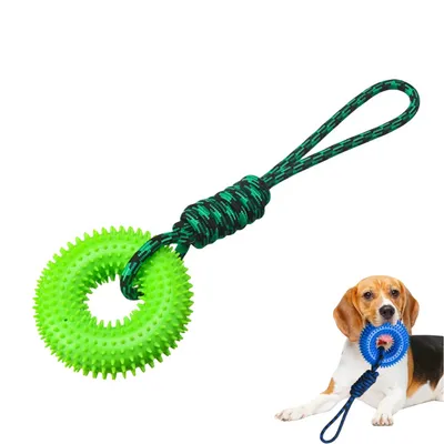 FurryFusion Quietschspielzeug für Hunde