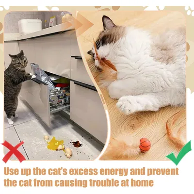 FurryFusion 6Pcs Jouet Balles Rebon-dissantes en Plumes pour Chat