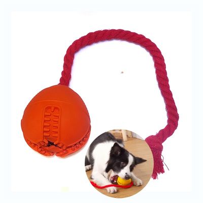 FurryFusion - Balle en caoutchouc à fuites pour chien