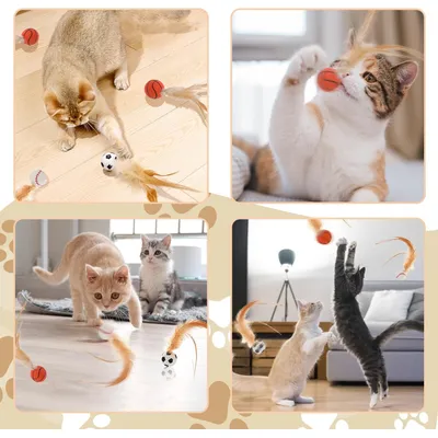 FurryFusion 6Pcs Jouet Balles Rebon-dissantes en Plumes pour Chat