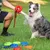 FurryFusion Quietschspielzeug für Hunde