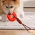 FurryFusion Quietschspielzeug für Hunde