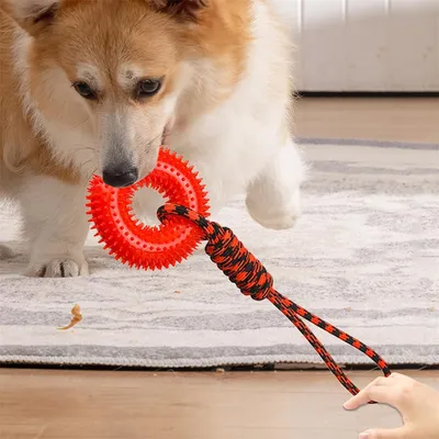 FurryFusion Quietschspielzeug für Hunde