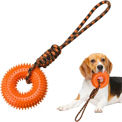 FurryFusion Quietschspielzeug für Hunde