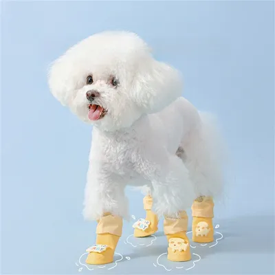 FurryFusion – Silikon-Regenstiefel für Hunde FurryFusion – Silikon-Regenstiefel für Hunde