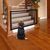 FurryFusion Barrière d'isolement pour animaux