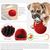 FurryFusion Jouet à alimentation lente pour chien