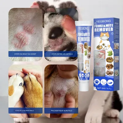 FurryFusion Lot de 2 crèmes anti - acariens pour chien