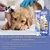 FurryFusion Lot de 2 crèmes anti - acariens pour chien