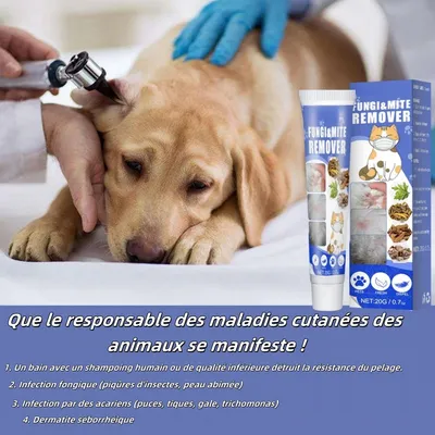 FurryFusion Lot de 2 crèmes anti - acariens pour chien