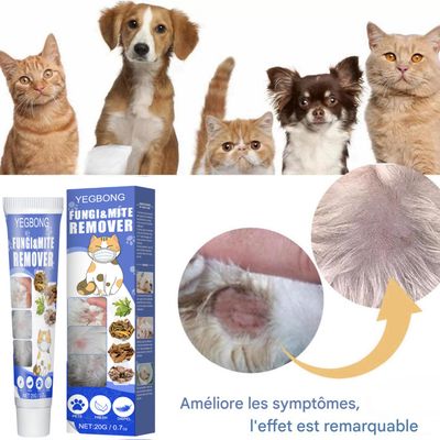 FurryFusion Lot de 2 crèmes anti - acariens pour chien