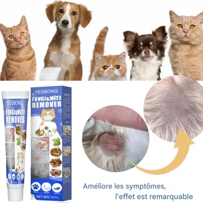 FurryFusion Lot de 2 crèmes anti - acariens pour chien