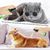 FurryFusion Spray insectifuge pour chats et chiens 100 ml
