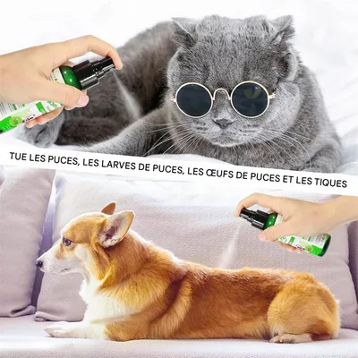 FurryFusion Spray insectifuge pour chats et chiens 100 ml