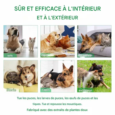 FurryFusion Insektenschutzspray für Katzen und Hunde, 100 ml