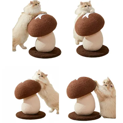 FurryFusion Griffoir champignon