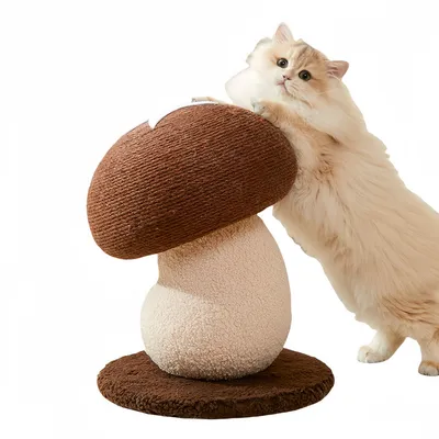 FurryFusion Griffoir champignon FurryFusion Griffoir champignon