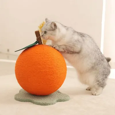 FurryFusion Balle à gratter orange pour chat