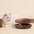 FurryFusion Panneau griffure pour chat, en carton ondulé