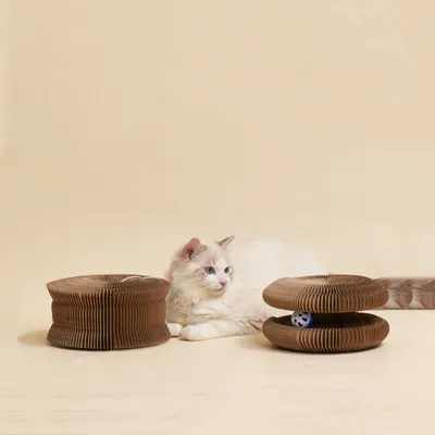 FurryFusion Panneau griffure pour chat, en carton ondulé