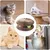 FurryFusion Griffoir magique pour chat avec clochette