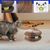 FurryFusion Griffoir magique pour chat avec clochette