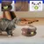 FurryFusion Griffoir magique pour chat avec clochette