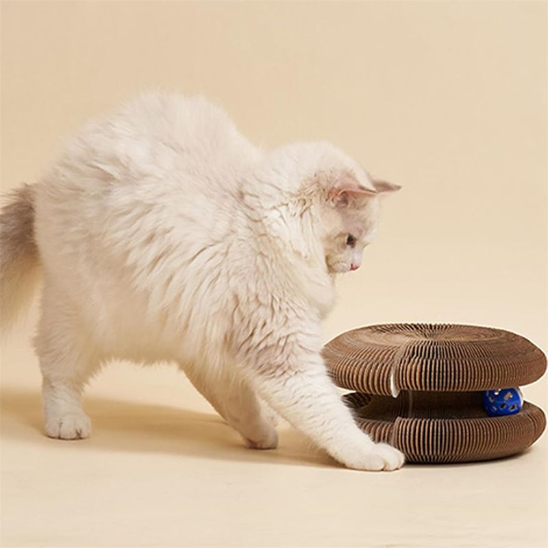 FurryFusion Griffoir magique pour chat avec clochette