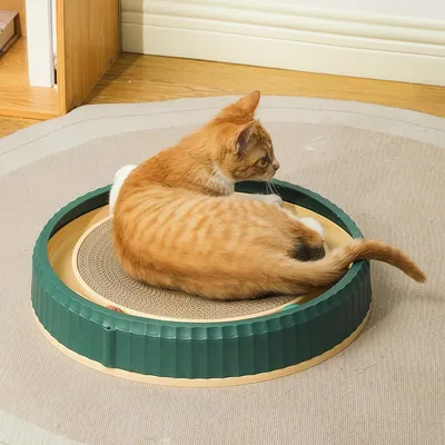 Grattoir rond en carton pour chat