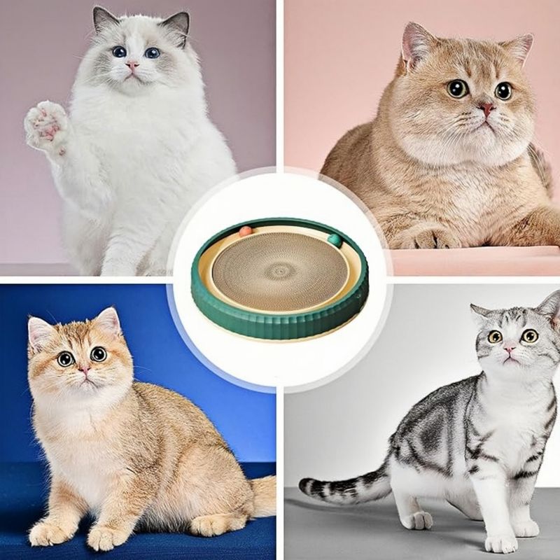 Grattoir rond en carton pour chat