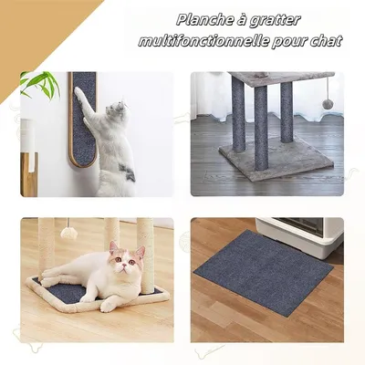 FurryFusion Griffoir auto - adhésif pour chat