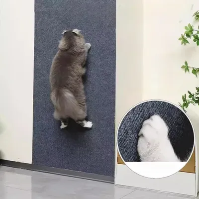 FurryFusion Griffoir auto - adhésif pour chat