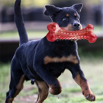 FurryFusion - Os en caoutchouc naturel pour mordiller