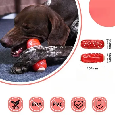 FurryFusion - Mâcher et à faire du bruit pour chien