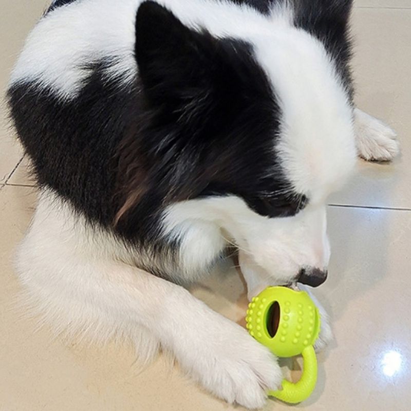 FurryFusion Jouet pour chien Pull the Ball