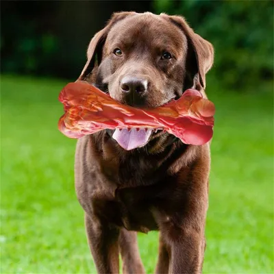 FurryFusion - Os en caoutchouc parfumé aux viandes