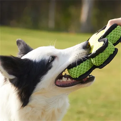 FurryFusion - Ballon oval de latex et velours pour chien