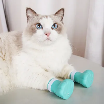 FurryFusion Chaussures anti - griffure pour chat