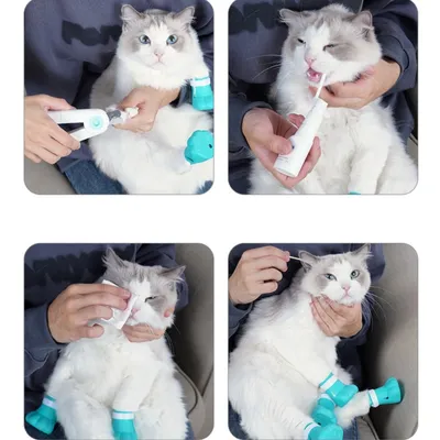 FurryFusion Chaussures anti - griffure pour chat