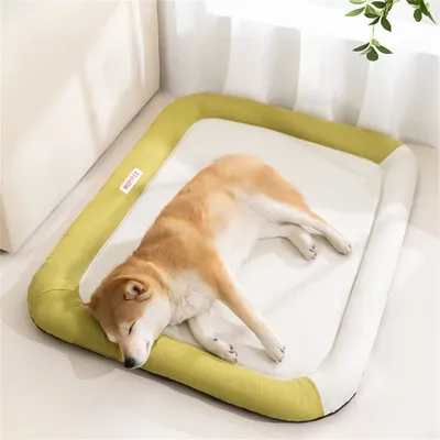 FurryFusion - Nid pour Chiens Résistant à l'Eau et aux Griffes