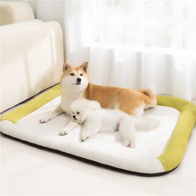 FurryFusion - Nid pour Chiens Résistant à l'Eau et aux Griffes