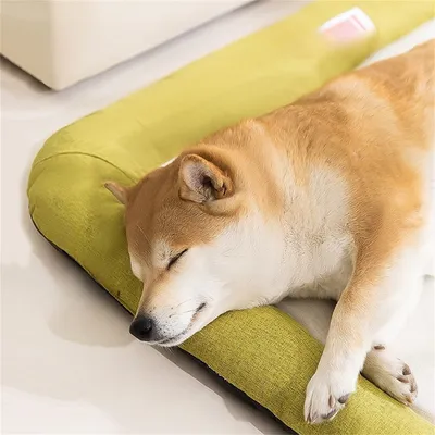 FurryFusion - Nid pour Chiens Résistant à l'Eau et aux Griffes