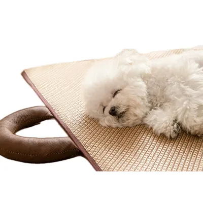 FurryFusion Tapis rafraîchissant pour animaux de compagnie