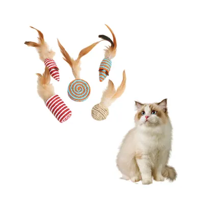 FurryFusion Ensemble de jouets en tressé pour chats, 5 pièces