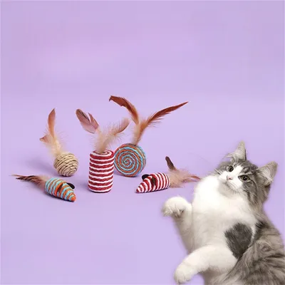 FurryFusion Ensemble de jouets en tressé pour chats, 5 pièces