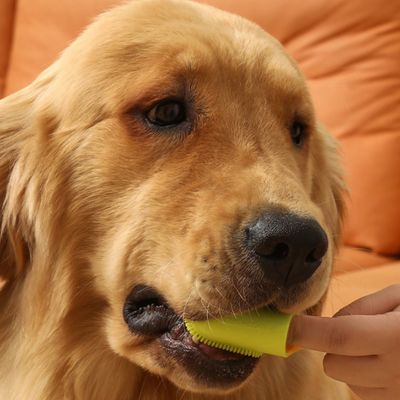 FurryFusion Juego de 4 cepillos de dientes para perros y gatos