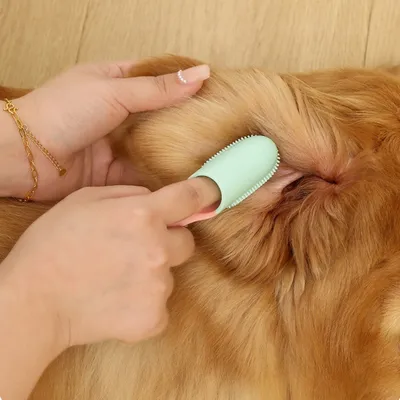 FurryFusion Lot de 4 brosses à dents pour chien et chat