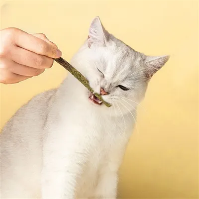 FurryFusion Golosinas para gatos con sabor a menta